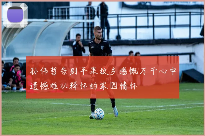 孙伟哲告别平果故乡感慨万千心中遗憾难以释怀的家园情怀