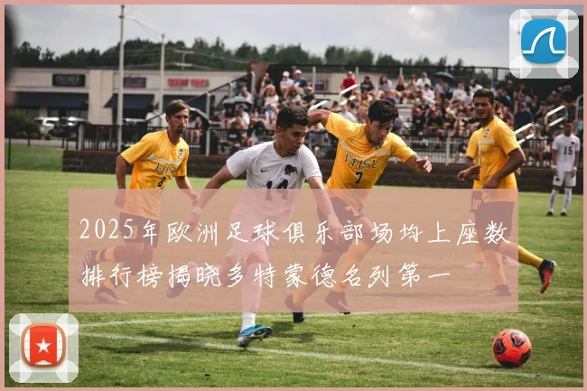 2025年欧洲足球俱乐部场均上座数排行榜揭晓多特蒙德名列第一