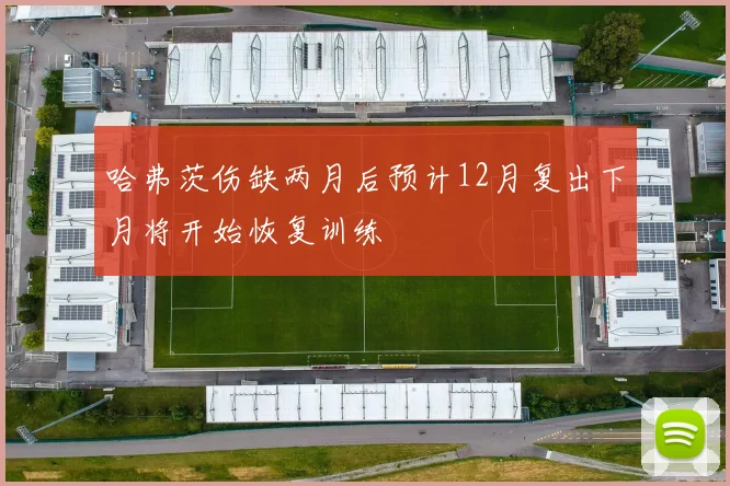 哈弗茨伤缺两月后预计12月复出下月将开始恢复训练