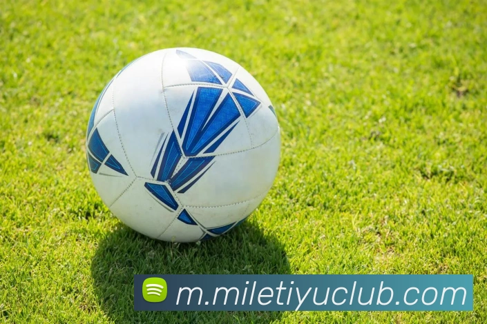 米乐体育发展历程